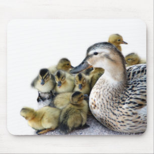 Mousepad Pato e Pato-Mãe Selvagem