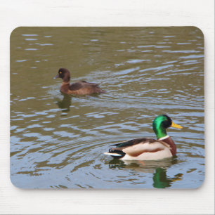 Mousepad Pato-macaco e pato-tufado num rio