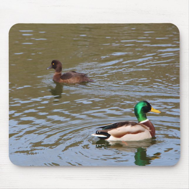 Mousepad Pato-macaco e pato-tufado num rio (Frente)