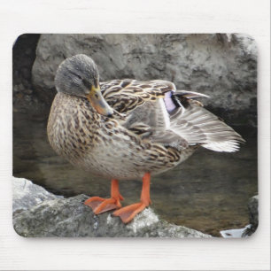 Mousepad Pato marrom giro entre rochas de cinza