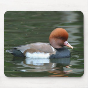 Mousepad pato no pata do rio