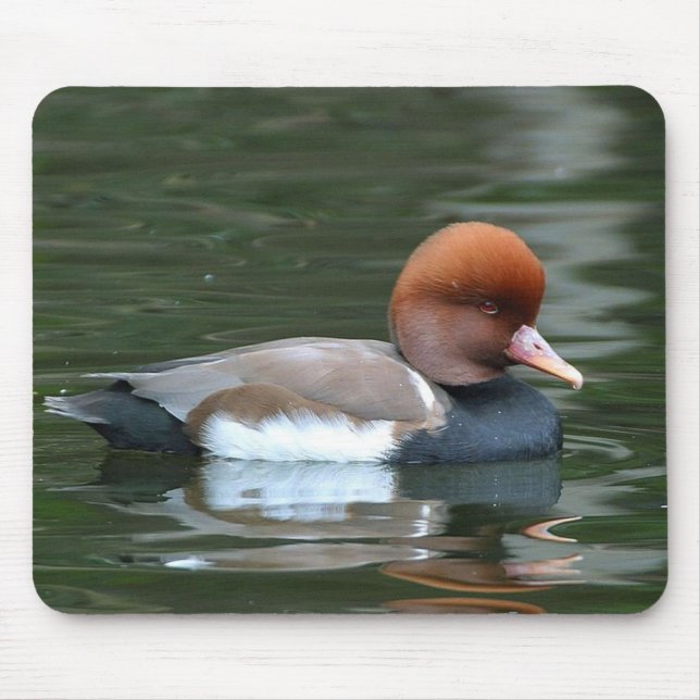 Mousepad pato no pata do rio (Frente)