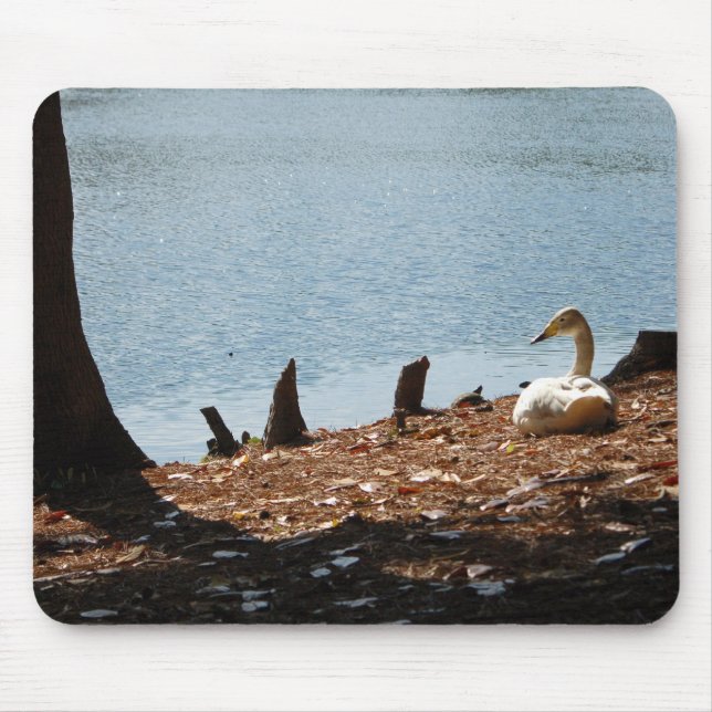 Mousepad Pato no Sol (Frente)