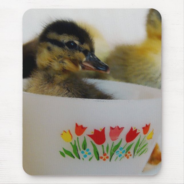 Mousepad Pato num Teacup 2 (Frente)