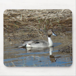 Mousepad Pato Rabo-de-Palheta Macho B5