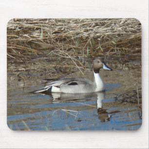 Mousepad Pato Rabo-de-Palheta Macho B5