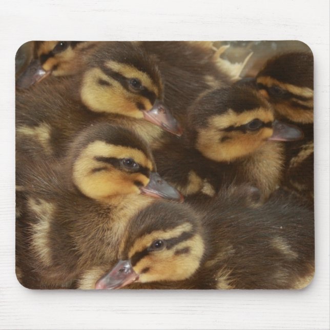 Mousepad Patos!! (Frente)