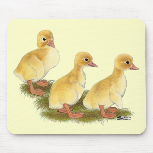 Mousepad Patos Amarelos (Frente)