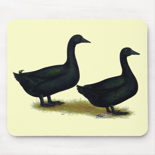Mousepad Patos: Black Cayugas (Frente)
