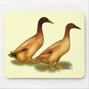 Mousepad Patos: Campbell Khaki