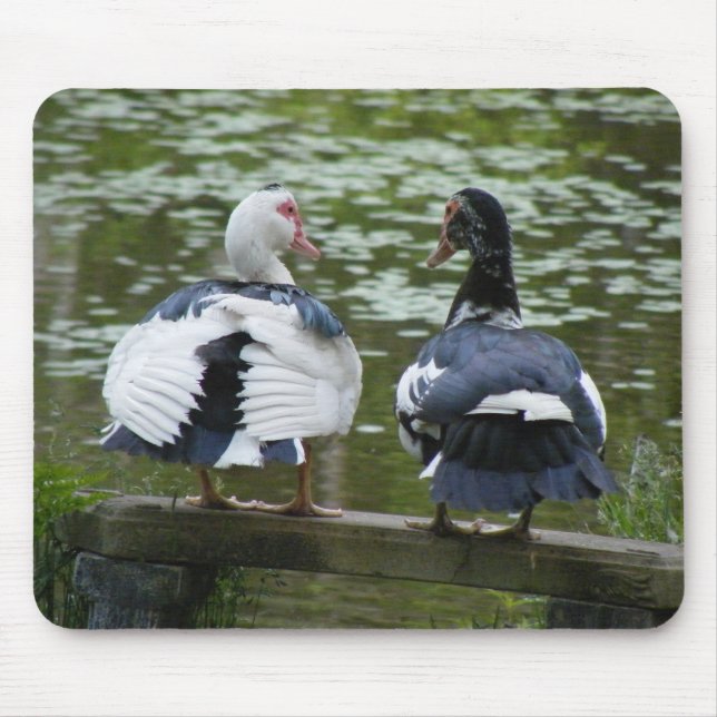 Mousepad Patos de Muscovy (Frente)