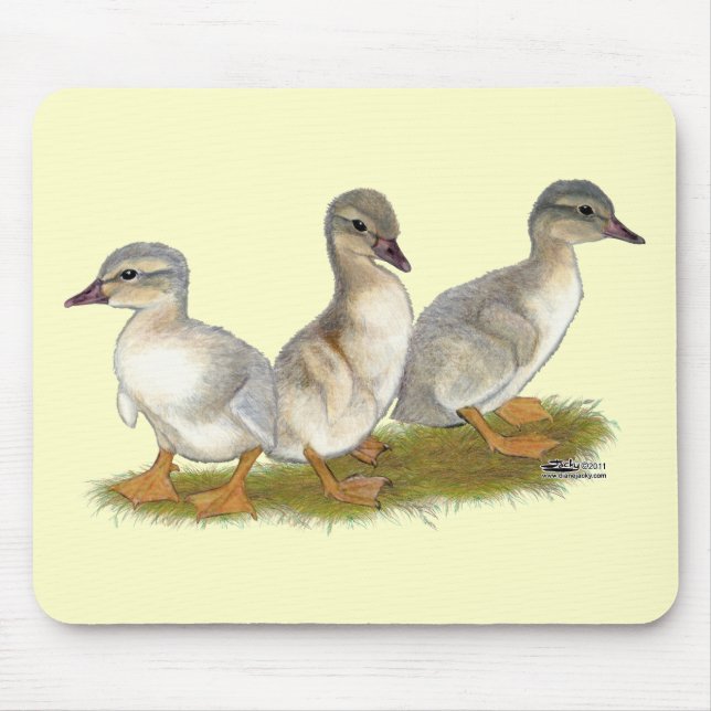 Mousepad Patos de Saxônia (Frente)