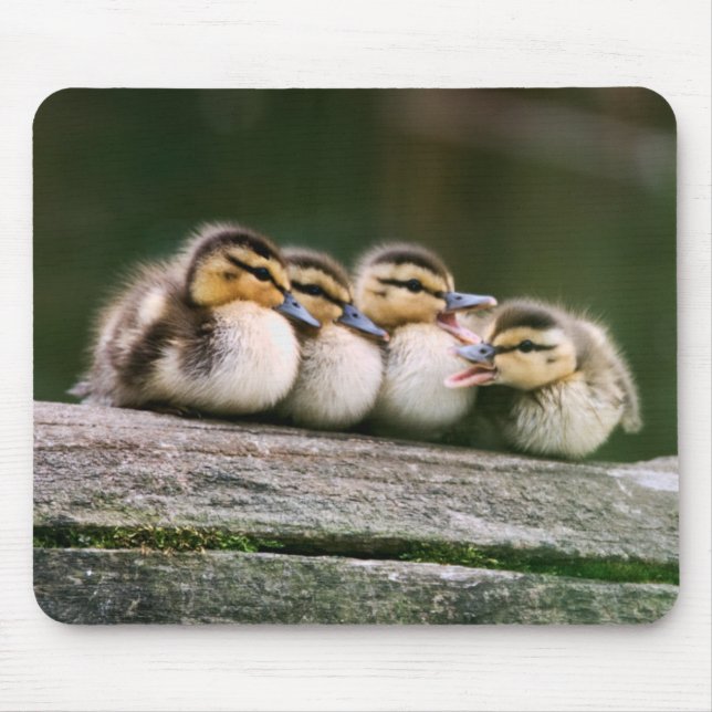 Mousepad Patos do bebê (Frente)