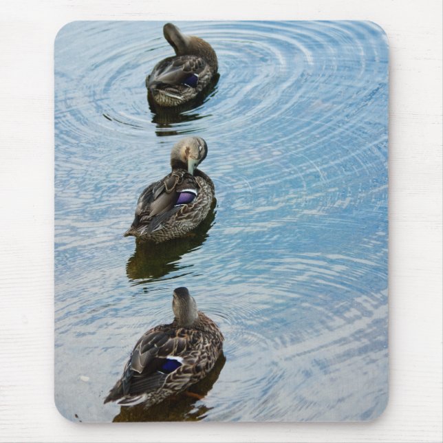 Mousepad Patos em uma Fila (Frente)