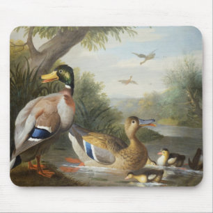 Mousepad Patos em uma paisagem do rio