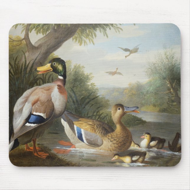 Mousepad Patos em uma paisagem do rio (Frente)