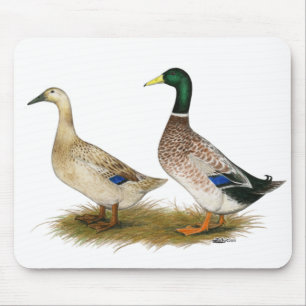 Mousepad Patos: Harlequin de prata de Galês