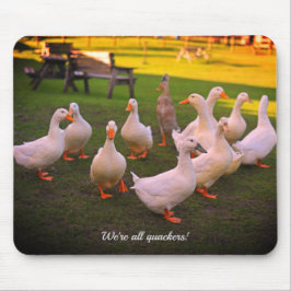 Mousepad Patos no Parque Engraçado Somos todos Quackers