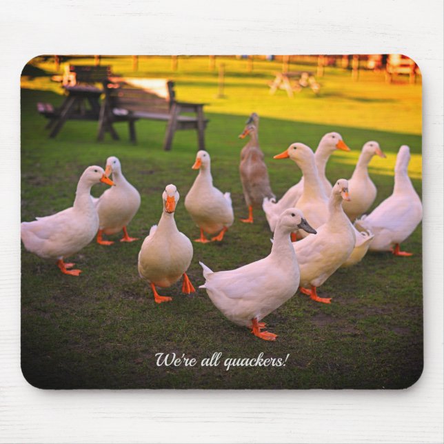 Mousepad Patos no Parque Engraçado Somos todos Quackers (Frente)