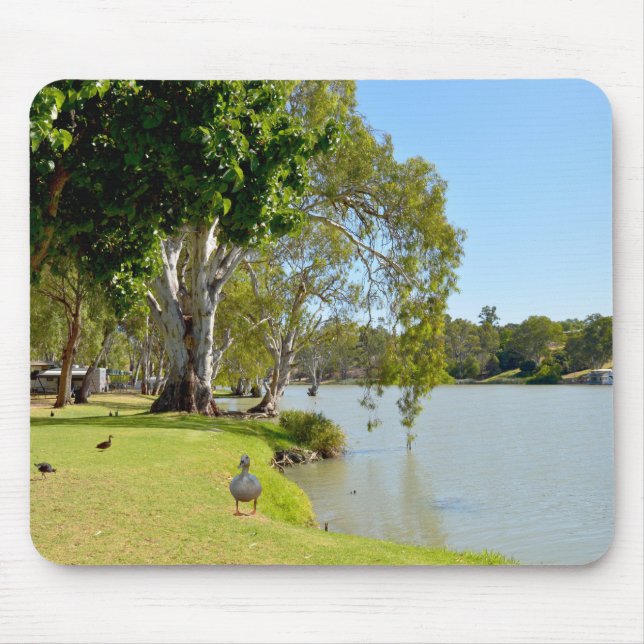 Mousepad Patos No Rio Murray Austrália, (Frente)