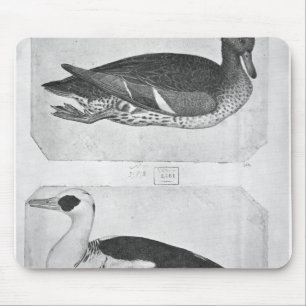 Mousepad Patos, o do álbum de Vallardi