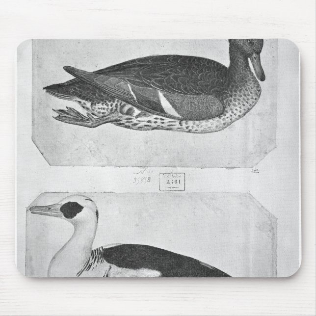 Mousepad Patos, o do álbum de Vallardi (Frente)