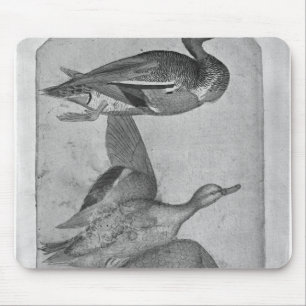 Mousepad Patos, o do álbum de Vallardi