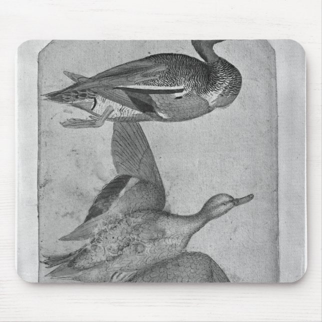 Mousepad Patos, o do álbum de Vallardi (Frente)