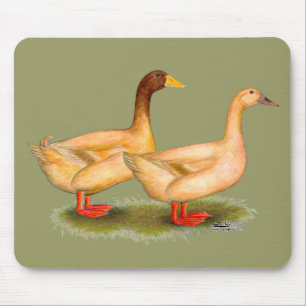 Mousepad Patos: Orpington amarelo