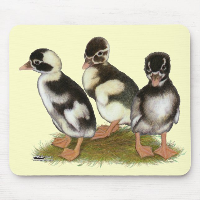 Mousepad Patos Runner lápis Emery (Frente)