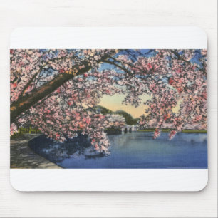 Mousepad PAU43 Basin.tif maré