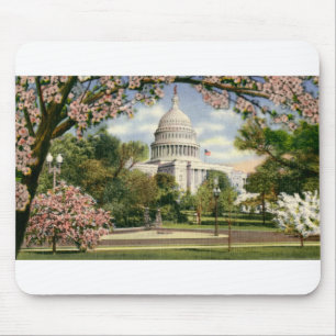 Mousepad PAU46 E.U. Capitol.tif
