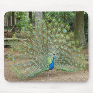 Mousepad Pavão