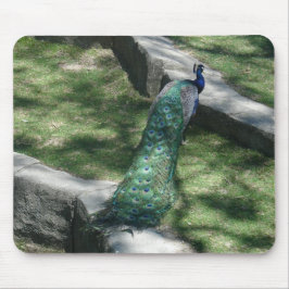 Mousepad pavão