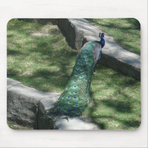 Mousepad pavão