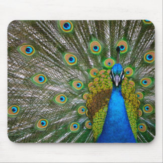 Mousepad Pavão