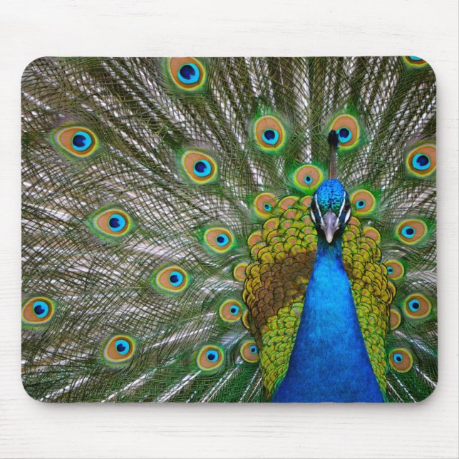 Mousepad Pavão (Frente)