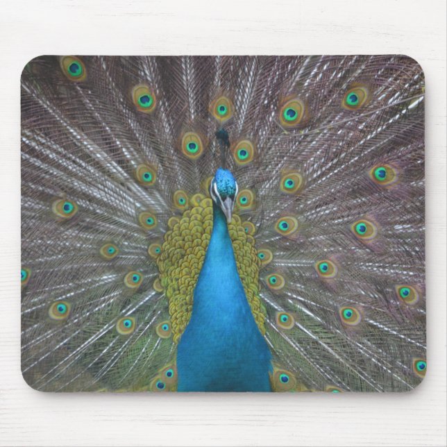 Mousepad Pavão Atormentado (Frente)