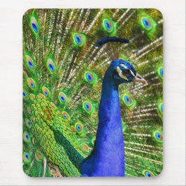 Mousepad Pavão azul brilhante