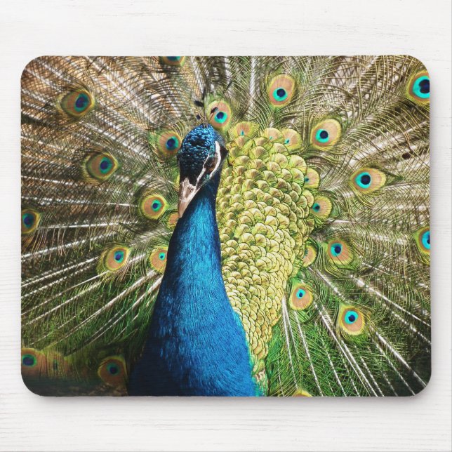 Mousepad Pavão azul brilhante (Frente)