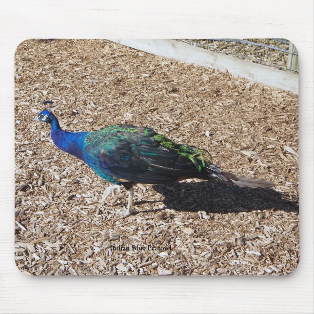 mousepad Pavão Azul Indiano (Frente)