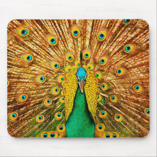 Mousepad Pavão bonito