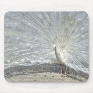 Mousepad Pavão Branco