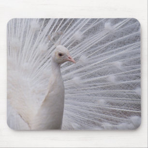 Mousepad Pavão branco