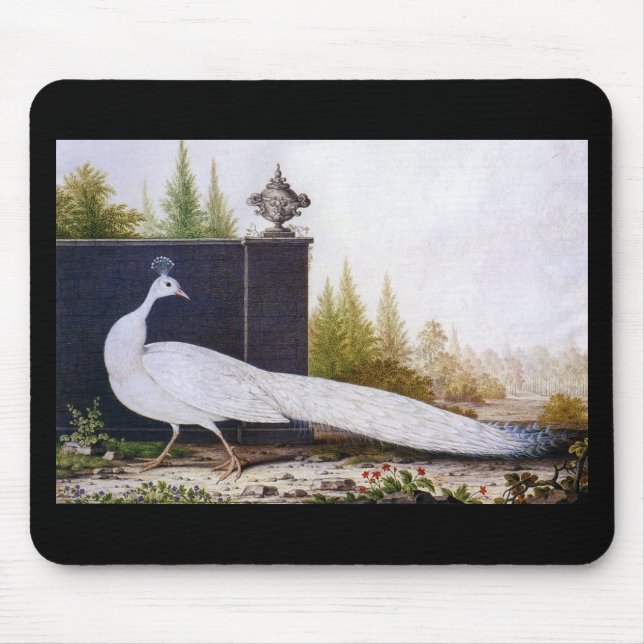 Mousepad Pavão Branco (Frente)