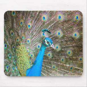 Mousepad Pavão com das penas a fotografia para fora -