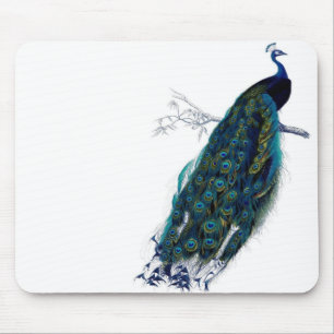 Mousepad Pavão do vintage