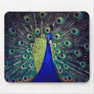 Mousepad Pavão dos azuis cobaltos