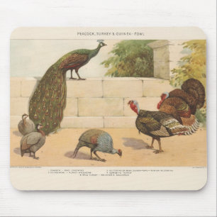 Mousepad Pavão, Turquia, & galinha-do-mato