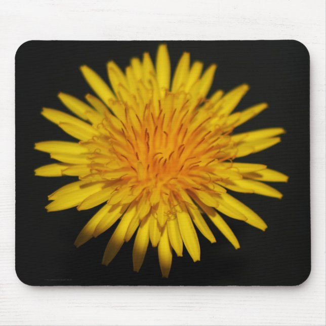 Mousepad Pcna do Flor Dandelion (Frente)